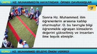 Hz Muhammed Bilgiye Önem Verirdi [upl. by Culhert]