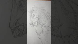 Beastman sketch warhammerart fantasy horse [upl. by Akram169]