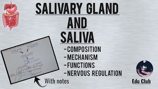 Saliva And Salivary Gland  Juices of GIT  1  Gastrointestinal Physiology [upl. by Cathie]