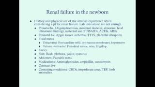 Newborn Renal Failure  CRASH Medical Review Series [upl. by Gnirol]