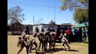 ZamaShenge Zulu dancers [upl. by Olegnalehcim]