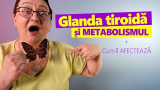 GLANDA TIROIDĂ Cum îți poate dezechilibra metabolismul [upl. by Zzahc]