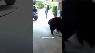 A bear was in this man’s garage 😱 [upl. by Yajeet]