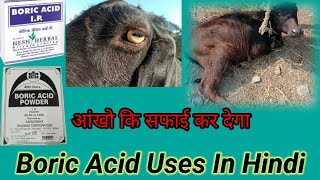 Boric Acid Uses In Hindi  Boric Acid Powder  बोरिक ऐसिड का उपयोग बहुत लाभदायक [upl. by Lebiralc]