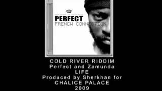 PERFECT AND ZAMUNDA  FRENCH CONNECTION  16  LIFE 2010 SHERKHAN [upl. by Meehan108]