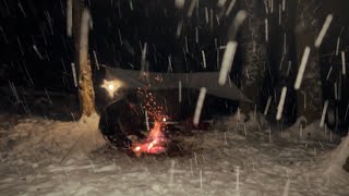 Winter camping in the snowstorm  relaxing in cozy shelter [upl. by Attegroeg445]