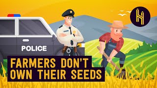 Why Farmers Can’t Legally Replant Their Own Seeds [upl. by Ahsekyt]