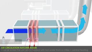 Petersime turnkey hatcheries air circulation in the hatchery [upl. by Akalam818]