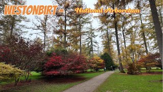 Westonbirt  The National Arboretum  4k Scenic Relaxation Film [upl. by Gui]