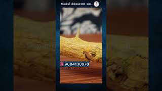 அச்சங்கருணை முள் கொண்ட வீட்டு வாசல் கட்டு  mooligai  velli pillayar kadai [upl. by Yi]