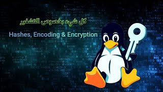 التشفير  Hashes Encoding Encryption [upl. by Nage702]