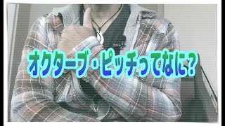 オクターブ・ピッチってなに？🍀ウクレレ初級者のギモン⁉️ [upl. by Steffane]