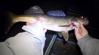 Night fishing walleyes from shore [upl. by Ardnac]