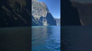 Milford Sound is such a beautiful natural wonder newzealand travel shorts [upl. by Feingold]