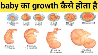 fetus growing in the womb week by week animation video 📸📸📸fetus growing 💗💗❤️❤️ [upl. by Cirtemed]