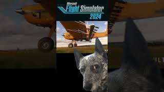 Real Pilots Hopes for Flight Sim 2024 shorts [upl. by Seadon]