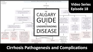 Cirrhosis Pathogenesis and Complications [upl. by Nalrah]