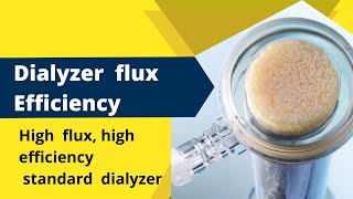 Dialyzers High Flux High Efficiency and Standard [upl. by Bower505]