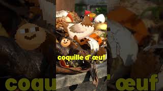 Le compost – comment compostez holidayswithshorts [upl. by Divadleahcim]