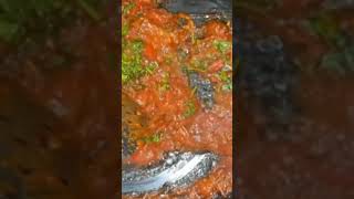 Tamato rice full video in chandinis blogtamatorice instantrecipe songslyrics likesharesubscribe [upl. by Aehsan369]