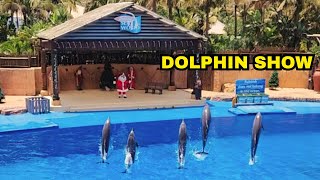 uShaka Marine World 🐬 🐬🐬  Dolphin Show  Durban  South Africa [upl. by Moersch942]