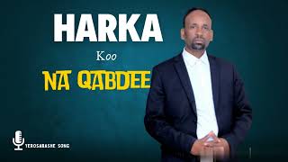 9 Harka Koo Na Qabdee Yerosa Bashe  SONG 9 [upl. by Lleinnad401]