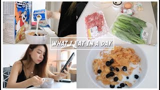 DAILY ROUTINE 🇰🇷  WHAT I EAT IN A DAY  Erna Limdaugh [upl. by Ttoille300]