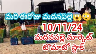 101124 Madanapalle Tomato Market price Today  Today Tomato Market Rate in Madanapalle today [upl. by Anagnos726]