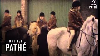 Horse Riding School 1972 [upl. by Akemahc193]