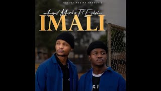 August Muzika  Imali Feat Echelon Official Audio 2021 [upl. by Ariajay]