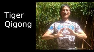 tiger qigong one minute regeneration [upl. by Simsar]