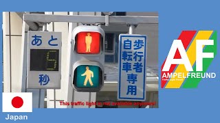 Kyosan Electric Pedestrian Traffic Light with Countdown [upl. by Adrahc]