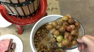 Home Made Scuppernong Wine [upl. by Maria]