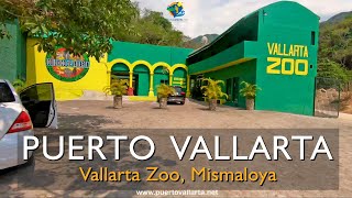 Conoce Vallarta Zoo el zoológico en Mismaloya Puerto Vallarta México [upl. by Yendirb]