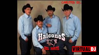 Los Halcones del Norte solo cumbias [upl. by Ennasus]