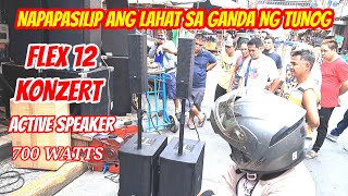 NAPAPASILIP ANG LAHAT SA GANDA NG TUNOG NG FLEX12 PROFESSIONAL ACTIVE SPEAKER 700W [upl. by Nwahshar]