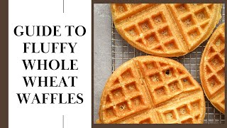 Light Fluffy Whole Wheat Waffle Recipe [upl. by Granlund]