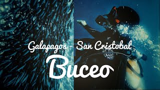 Buceo en Galapagos Así es BUCEAR  Galapagos San Cristobal  Yuri Channel TV [upl. by Laehctim]