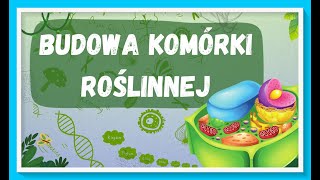 Budowa komórki roślinnej i bakteryjnej  lekcja biologii dla klasy 5 [upl. by Chauncey]