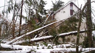 Vysoké Tatry po víchrici z 19 novembra 2004  High Tatras after windstorm from November 19th 2004 [upl. by Aisatsana763]