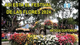 8 EDICION FESTIVAL DE LA FLORES 2024 ANTIGUA GUATEMALA [upl. by Campos256]