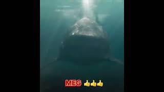 Bad Shark Movies🤢 VS Good Shark Movies 🗿sharkjawsshortsthemeg [upl. by Heigho]