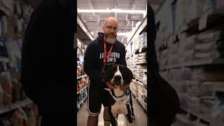 Dave and Donkey at PetSmart Adoption Event 462024 [upl. by Thorn]