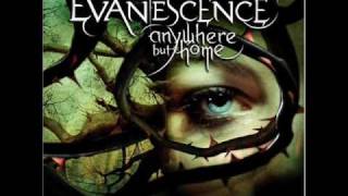 Evanescence  Bring Me to Life Live [upl. by Jorey]