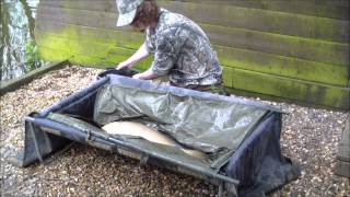 Pavyotts Mill Carp Fishing  Joshs lake  180512 [upl. by Neffets]