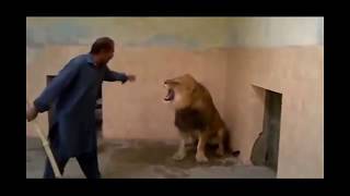 A Man enter in the lion cage in a zoo with stick see what hppn next [upl. by Nwahsel]