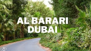 Al Barari Dubai A drive through the greenest community in Dubai [upl. by Nedda]