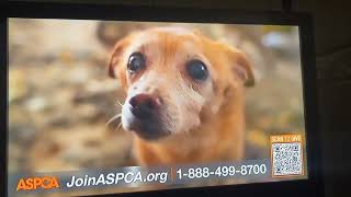 ASPCA TV commercial [upl. by Farron]