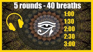 Wim Hof Breathing 5 rounds  40 breaths with Pineal Gland Healing Sounds [upl. by Adlig]