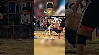 Honey pandit kabbadi match trendingshorts viralshort [upl. by Atil]